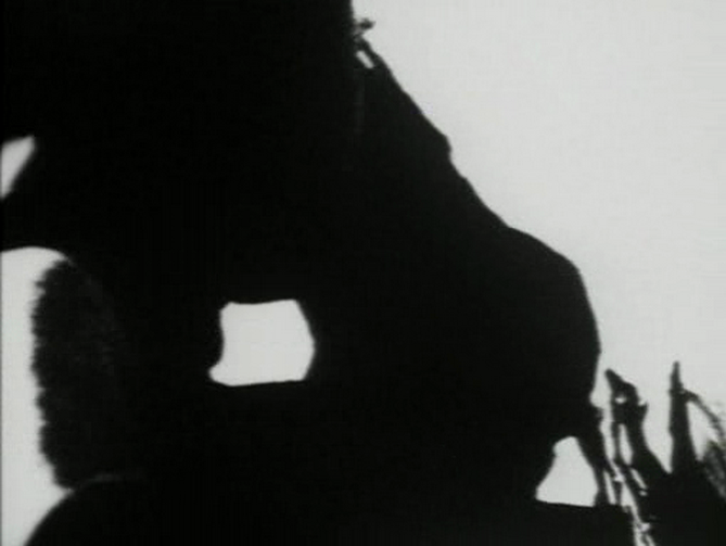 Grainy, high-contrast silhouette of a figure, from the film Begotten.